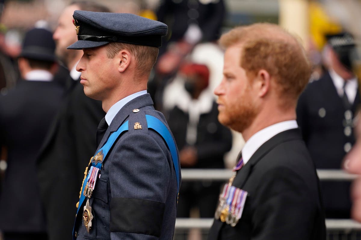 Prince Harry book latest: Prince William ‘burning’ with anger over explosive memoir claims