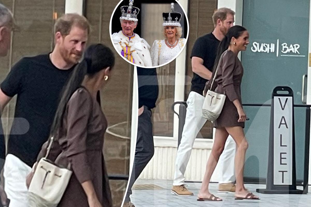Prince Harry, Meghan Markle seen for 1st time since coronation