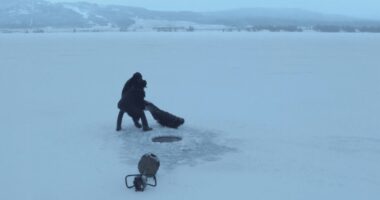 10 Dark Comedy Delights That Will Tickle Your Funny Bone