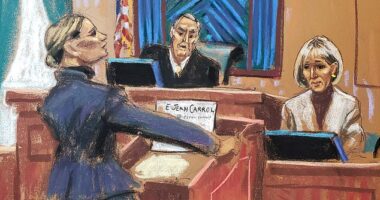 E Jean Carroll is facing a second day of cross-examination in a trial to determine what damages Trump owes her
