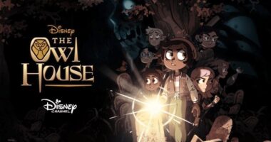 3 Big Reasons The Owl House Ended With Season 3