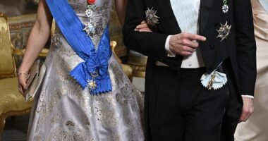 Stockholm was awash with glitz and glamour this evening as the Swedish royal family hosted a gala dinner for President Macron and his wife Brigitte. Pictured: Crown Princess Victoria and Prince Daniel