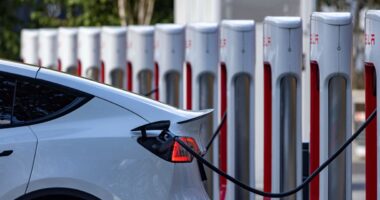 A key Tesla metric is ‘under threat.’ Wall Street will soon learn more.