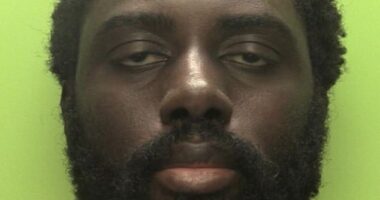 Triple killer Valdo Calocane was sentenced this week to be detained at a high-security hospital rather than given a life sentence for murder