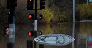 AP Week in Pictures: North America