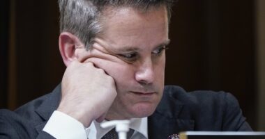 Adam Kinzinger Tries to Dunk on Ken Paxton, Steps on the Rake of History