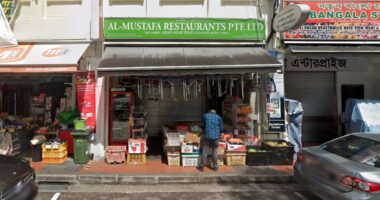 Al-Mustafa Restaurant at Lembu Road suspended 2 weeks for infestation, failure to keep premises clean - Mothership.SG