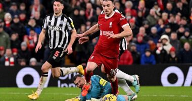 Diogo Jota was left with an open goal after rounding Newcastle goalkeeper Martin Dubravka