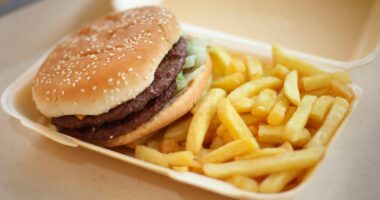 Almost all burgers, steaks and chicken contain microplastics