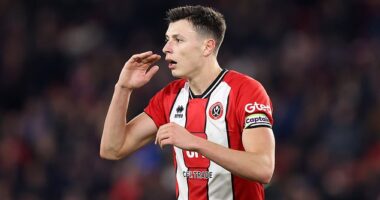 Sheffield United captain Anel Ahmedhodzic fumed at suggestions he fouled Jarrod Bowen on Sunday