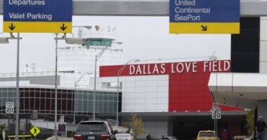 Anti-Israel Activists Try to Storm, Block Dallas' Love Field Airport as Biden Lands – RedState