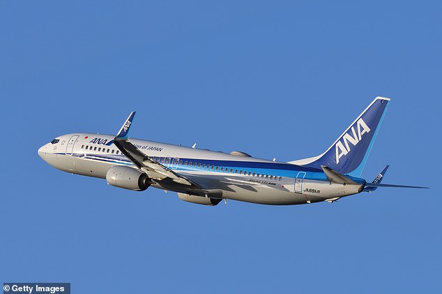 Flight 1182 of Japan's All Nippon Airways was en route to Toyama airport but headed back to the Sapporo-New Chitose airport after the crack was found on the outermost of four layers of windows surrounding the cockpit, a spokesperson for the airline said (File Photo)
