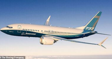 Boeing asked the FAA to exempt its new model 737 Max 7 jet (pictured)  from safety inspections