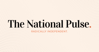 Bonusland: Justice for Jake - The National Pulse+