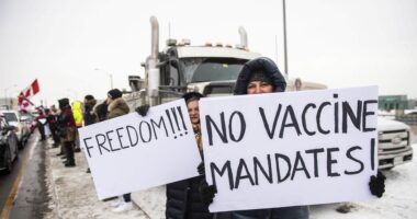 Canadian Court Sides With Freedom Convoy! – HotAir