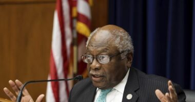 Clyburn: 'Maybe' Austin Should Have Said Something Sooner
