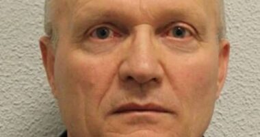 Bardhyl Mustafaj, 64, pictured, was convicted of raping a woman in her 50s after his DNA was found on a teddy bear the victim had used to defend herself during the attack