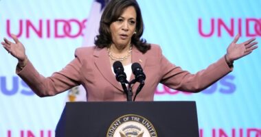 Crazy Kamala Harris Fearmongers Americans About Dying Women and Babies Across the Country
