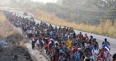 Cygnal Poll: Republicans Should 'Tap into' Voter Anger over Illegal Migration