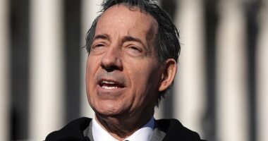 Democrat Jamie Raskin accused Republicans trying to force Hunter Biden into relapse as his Hollywood attorney friend Kevin Morris testified on Capitol Hill