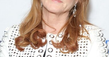 Sarah, the Duchess of York, had her O-Level results unearthed today, when a slip detailing the outcome of the exams she took in June 1976 was found in a dusty filing cabinet