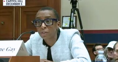 Don’t Stop With Claudine Gay. Fire All Useless College Administrators