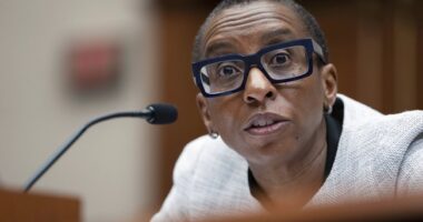 Drew Holden Shreds Media and Their 'Horrifically Bad' Takes About Claudine Gay in Receipt-Filled THREAD