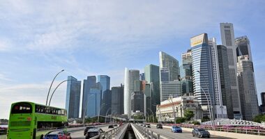 Singapore's Internal Security Department detained the boy when he was 16 (File image)