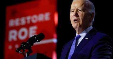 President Joe Biden fired the starting gun in the general election race on Tuesday night, soon after former President Donald Trump went two from two in the first nominating states.