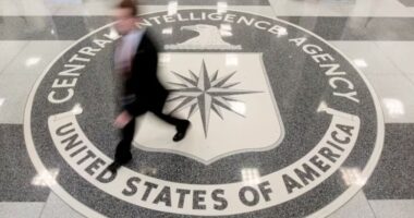Ex-CIA Man Hints at Intel Agency Interference in 2024 Election.