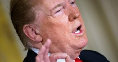 Exclusive — Donald Trump: Who Gets Vice Presidential Nod ‘Has Never Made a Difference’ in Election Outcome