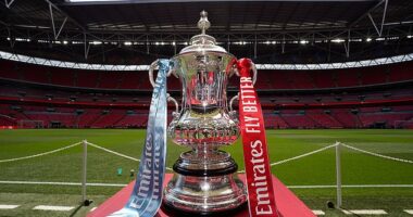 Tottenham Hotspur will play reigning champions Manchester City in the FA Cup fourth round