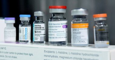 FL Declares Covid Jabs 'Not Appropriate' For Any 'Human Beings'
