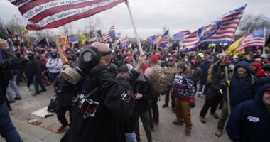Federal Appeals Court Rules That for January 6 Defendants Standing Still and Quiet Is Disorderly Conduct – RedState