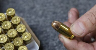 Federal Judge: California Ammunition Background Checks Violate Constitution