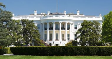 Fire trucks and ambulances storm White House after  prankster called 911 to say residence was on fire and someone was trapped inside