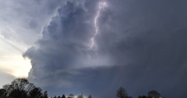 Florida Dems Get BLASTED For Complaining That Ron DeSantis Can't Control the Weather