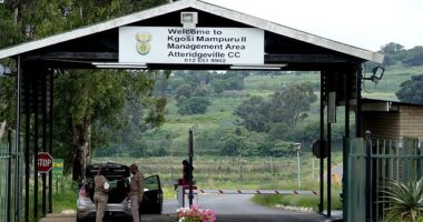 Former Paralympian, Oscar Pistorius is now a free man as he