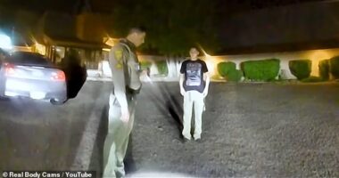 An unidentified male suspect, 19, was pulled over for a traffic violation on August 27 in New Mexico and was arrested for DUI