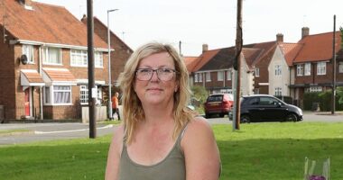 Locals had vowed to boycott any internet provider who decides to use the 30ft high wooden 'eyesores', insisting cables should go underground instead. Pictured: Hedon resident Carol Hunter