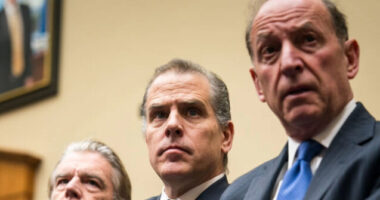 GOP Lawmakers Confront Hunter Biden at Contempt Hearing: 'You Have No Balls'
