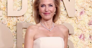 Gillian Anderson wears dress covered in vaginas for 2024 Golden Globes