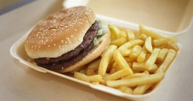 Feeding children diets high in calories, fat and sugar could damage their blood vessels by the time they are teenagers, experts say (Stock image)