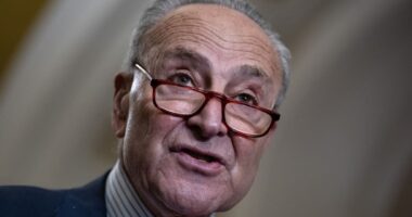 Government shutdown averted as Congress extends funding