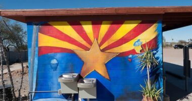 How A Left-Wing 'Alliance' Meddled In AZ County's Elections