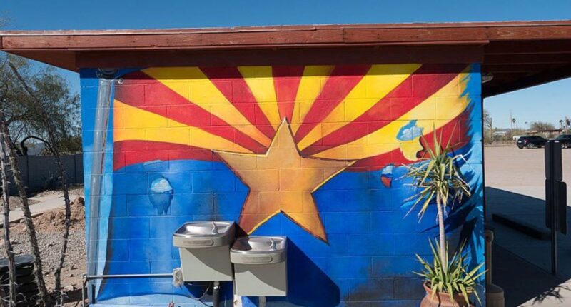 How A Left-Wing 'Alliance' Meddled In AZ County's Elections