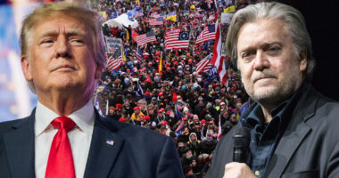 'I'd Return to Campaign, White House if President Trump Asked.'
