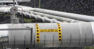 In Pathetic POTATUS Pander, WH Pulls LNG Football Just Before Winning Kick – HotAir