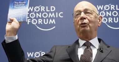 Iowahawk Figures Out Why Davos Freaks Us Normies Out