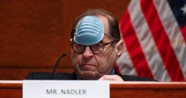 Jerry 'Sackville-Baggins' Nadler Reveals His Racism Talking About Why We Need Illegal Immigrants